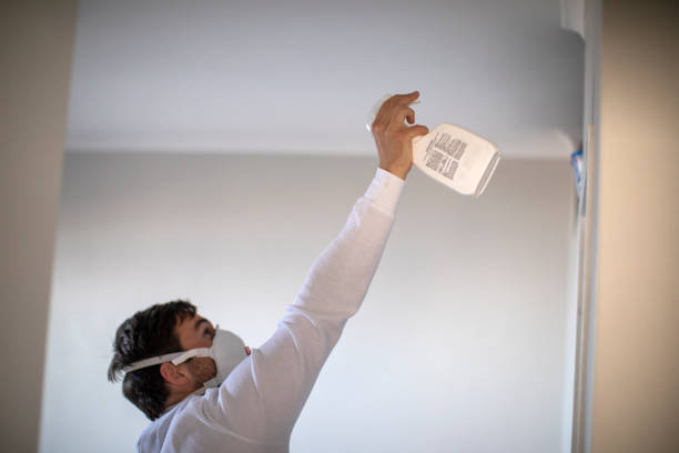 Home Mold Removal in Fall City, WA