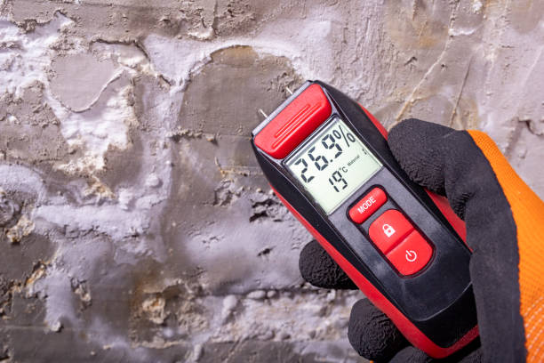 Best Local Mold Removal Service  in Fall City, WA
