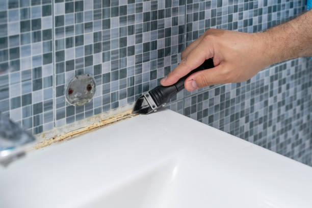 Best Same-Day Mold Removal  in Fall City, WA
