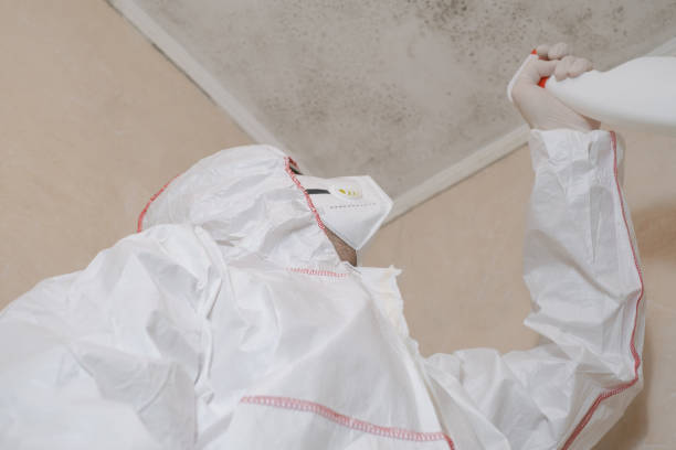 Best Mold Cleaning Services  in Fall City, WA